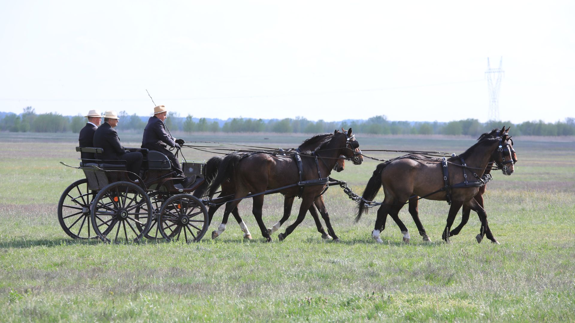 Furioso rendezvény13.jpg